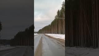 Почему я больше не доверяю своему навигатору? История путешествия