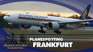 Planespotting Frankfurt Airport | July 2024 | Part 1