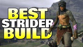 How To Create The Ultimate Strider Build In Dragon's Dogma