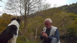 Ashokan Farewell played on Tin Whistle