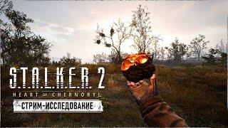 S.T.A.L.K.E.R. 2 HEART OF CHORNOBYL | КРУТЫЕ ВТОРОСТЕПЕННЫЕ КВЕСТЫ ! 