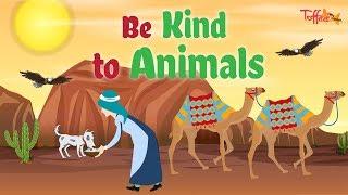 Toffee TV | Be Kind To Animals - Islamic Story For Kids