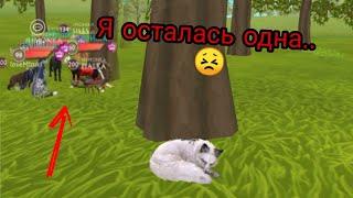 Меня все бросили. Я осталась одна..  [WildCraft]