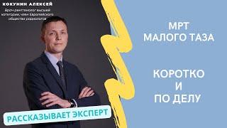 МРТ малого таза: когда делают, что показывает и как проходит