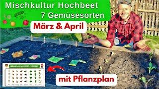 Mischkultur Hochbeet Frühjahr I 7 gute Pflanznachbarn I  Anleitung inkl. Pflanzplan