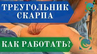 ТРЕУГОЛЬНИК СКАРПА. Канал Хантера. Как работать? Подготовка тканей. Татьяна Яковлева