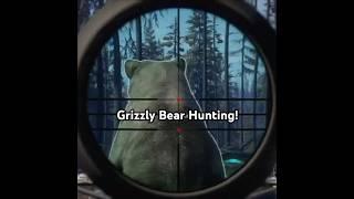 TheHunter COTW / Grizzly Bear Hunting / #cotw #bear #hunt