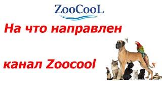 На что направлен канал Зоокул, для вашего же удобства !