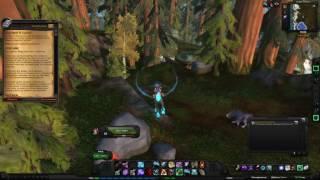 World of Warcraft Quest: Захлопнуть клетку (id=11984)