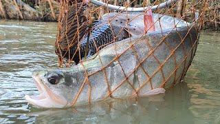 Unique Underwater Fishing | Best Fish Catching | Best Fishing Video