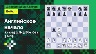 Английское начало #4: Классическая система: 1.c4 e5 2.Nc3 Bb4 без 3.Nd5 // Дебют