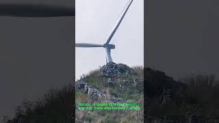 Wind Power Miracle at Work (Real-Time Energy Hack)