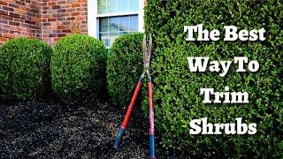 How to trim your shrubs with Hedge Shears