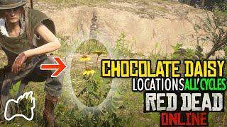 RED DEAD ONLINE CHOCOLATE DAISY ALL CYCLES Locations Complete Guide Wild Flowers Collection RDO