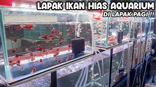 LAPAK IKAN HIAS AQUARIUM DI LAPAK PAGI‼️PASAR IKAN HIAS JATINEGARA‼️