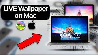 How to set Live Wallpaper on Mac in 2024