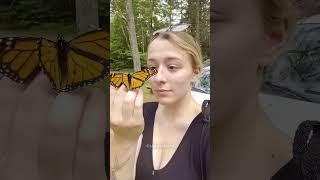 This Butterfly is Her Best friend