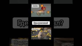 capybara #capybara #aktiv #melonplayground #youtube #а4 #абоба #мем #абобус