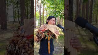 El Cóndor Pasa | Jorge Sangre Ancestral | Полёт Кондора | Flute | Ballada Peruwiańska #subscribe