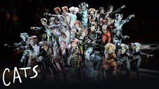 The Naming of the Cats | Cats the Musical