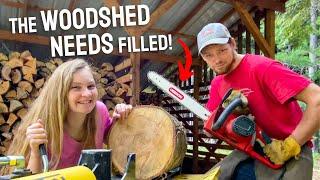 Getting FIREWOOD Ready for WINTER | Bucking, Splitting, & Stacking