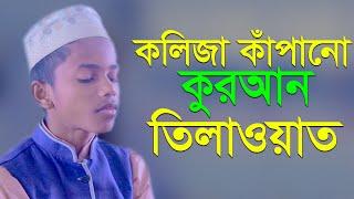 কলিজা কাঁপানো কুরআন তিলাওয়াত Heart Touching Quran Recitation | World Muslim Media