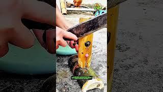 Snail Tail Cutting Tool — Boost Work Efficiency with Good Tools and Machinery