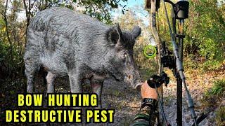 2 UNBELIEVABLE KILL SHOTS! Filming Hunts with The New GoPro Hero 13.