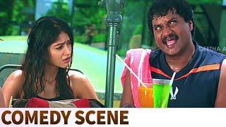 Ileana Takes Sunil Suggestions | Pawan Kalyan, Ali | Jalsa Comedy Scenes | Trivikram Srinivas