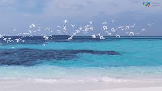 Meeru Island Resort & Spa - Presented by Maldives Travel Wizard