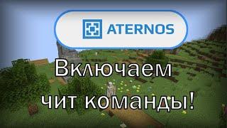 Включаем читы на твоем серваке Aternos!