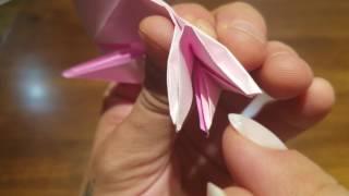 Origami Vagina (Vulva, Really)