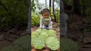 Survival Skills in Forest: single mom with Lotus Seed skills #survival #camping #bushcraft