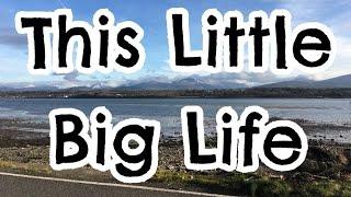 This Little Big Life