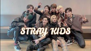 A VERY SHORT INTRODUCTION TO STRAY KIDS AND THEIR MEMBERS (A SHORT UNHELPFUL GUIDE)