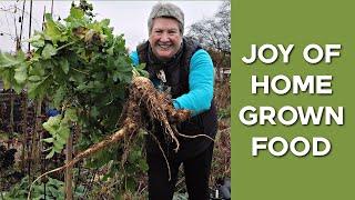 Amazing Parsnip Harvest | Abundance in practice