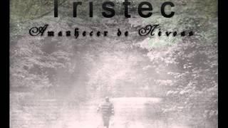 Tristec-When The Love Is All