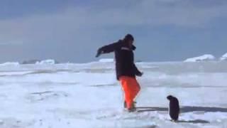 Angry Penguin Attacks!