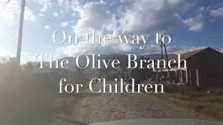 Our visit to  Mbeya | The Olive Branch for Children | Tanzania