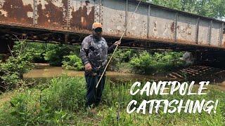 Bank Fishing with a Cane Pole for Catfish in a Creek. Catch, Clean, and Cook