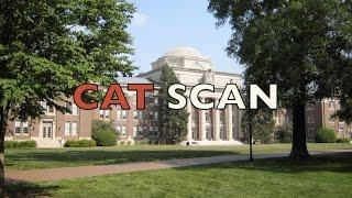 Cat Scan: Stevie Jefferis