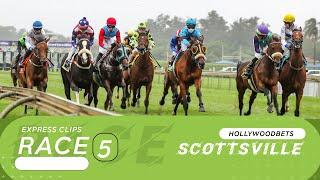 20241201 Hollywoodbets Scottsville Race 5 won by PATANTS HEIR