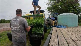 MAJOR UPDATE ON THE FARM