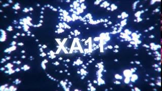 intro for XA1T