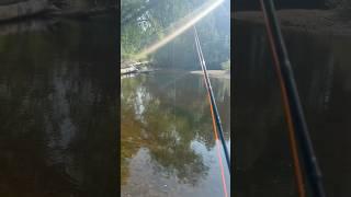 Got shot at while fly fishing #bonix #nfl
