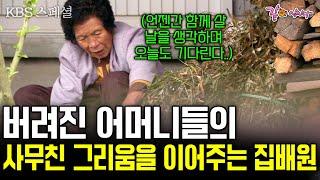 [KBS스페셜] 자식이 있어도 버려진 노인들. 폐가가 즐비한 농촌 마을에는 사무치게 그리워하는 어머니의 마음을 잇는 집배원이 있다.| KBS 2006.12.24