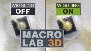 Why The Wiggling? Introduction To MacroLab3D