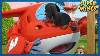 [SUPERWINGS Best Episodes] My Pet! My Friend! | Best EP17 | Superwings | Super Wings