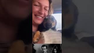 Animal Saviours | There Is Still Humanity In the World #shorts #animals #hero