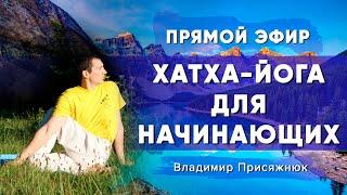 Хатха-Йога | Комплекс Хатха-Йоги для начинающих | Йога Чести